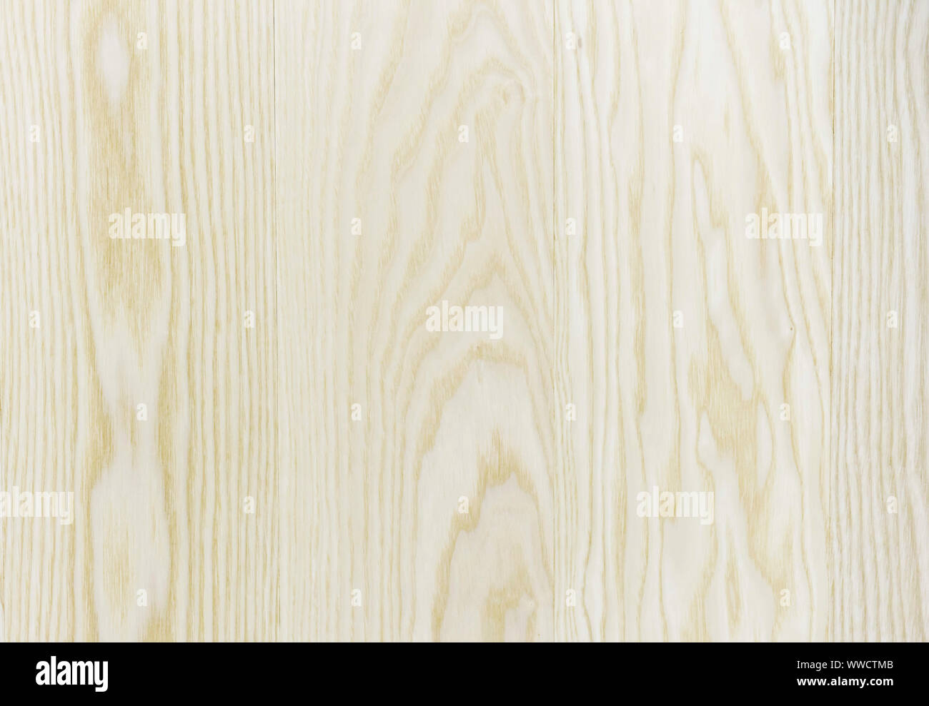 Surface en bois de pin avec un brillant texture. Modèle de pin. Banque D'Images
