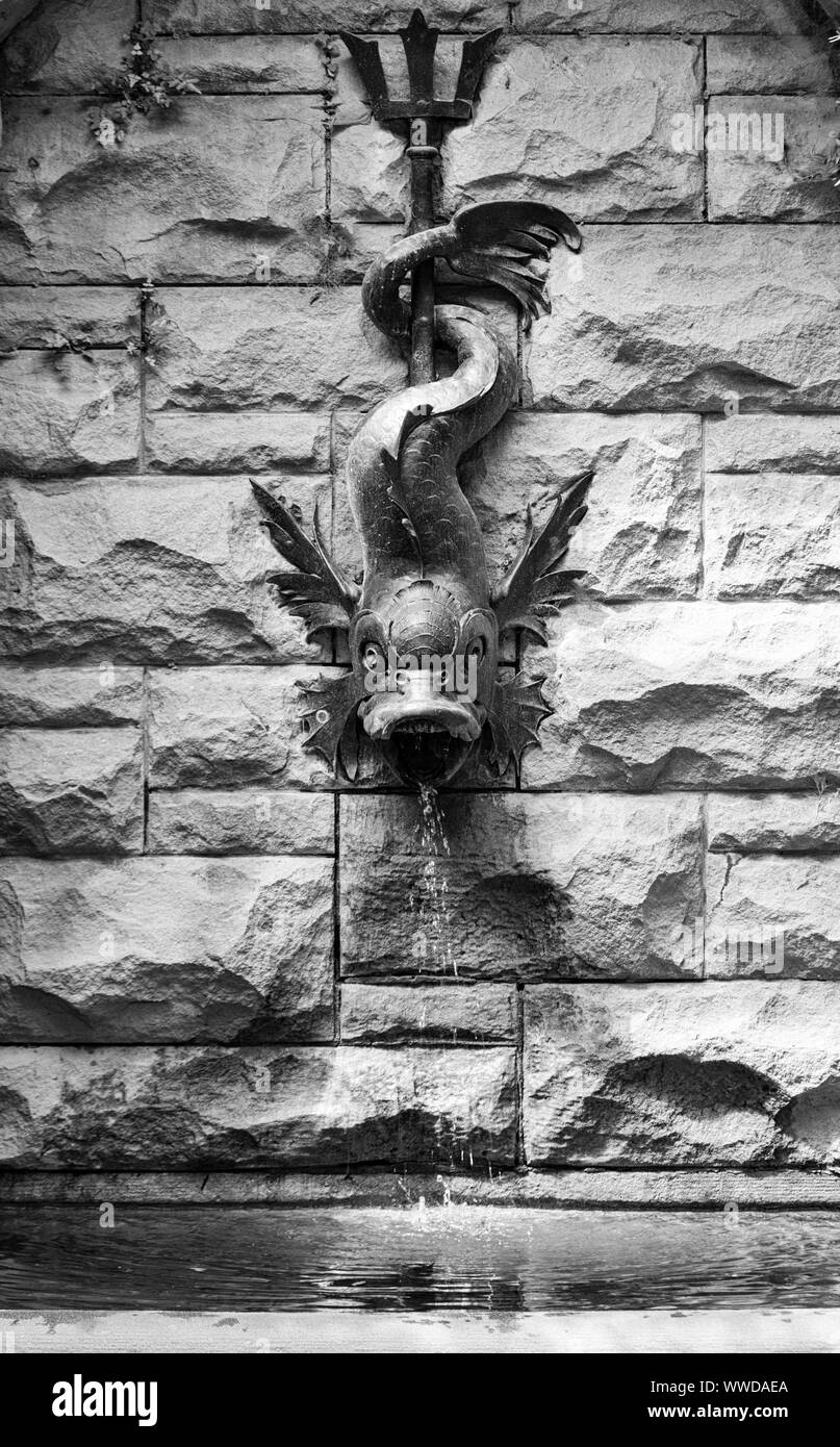 Jets d'eau sur un poisson-dragon gargouille au Biltmore Estate à Asheville, NC, USA Banque D'Images
