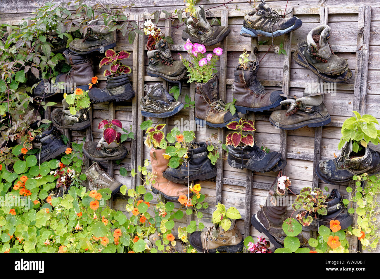 Pots de jardin rustique dans village rural - Idées de jardin et petit jardin design Banque D'Images