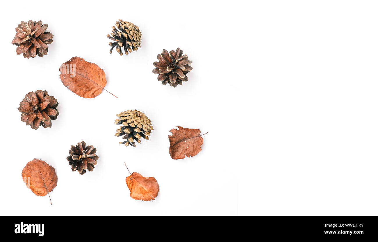 Des feuilles sèches et des pommes de pin sur un fond blanc. Composition d'automne. Automne fond. Copier l'espace. Banque D'Images