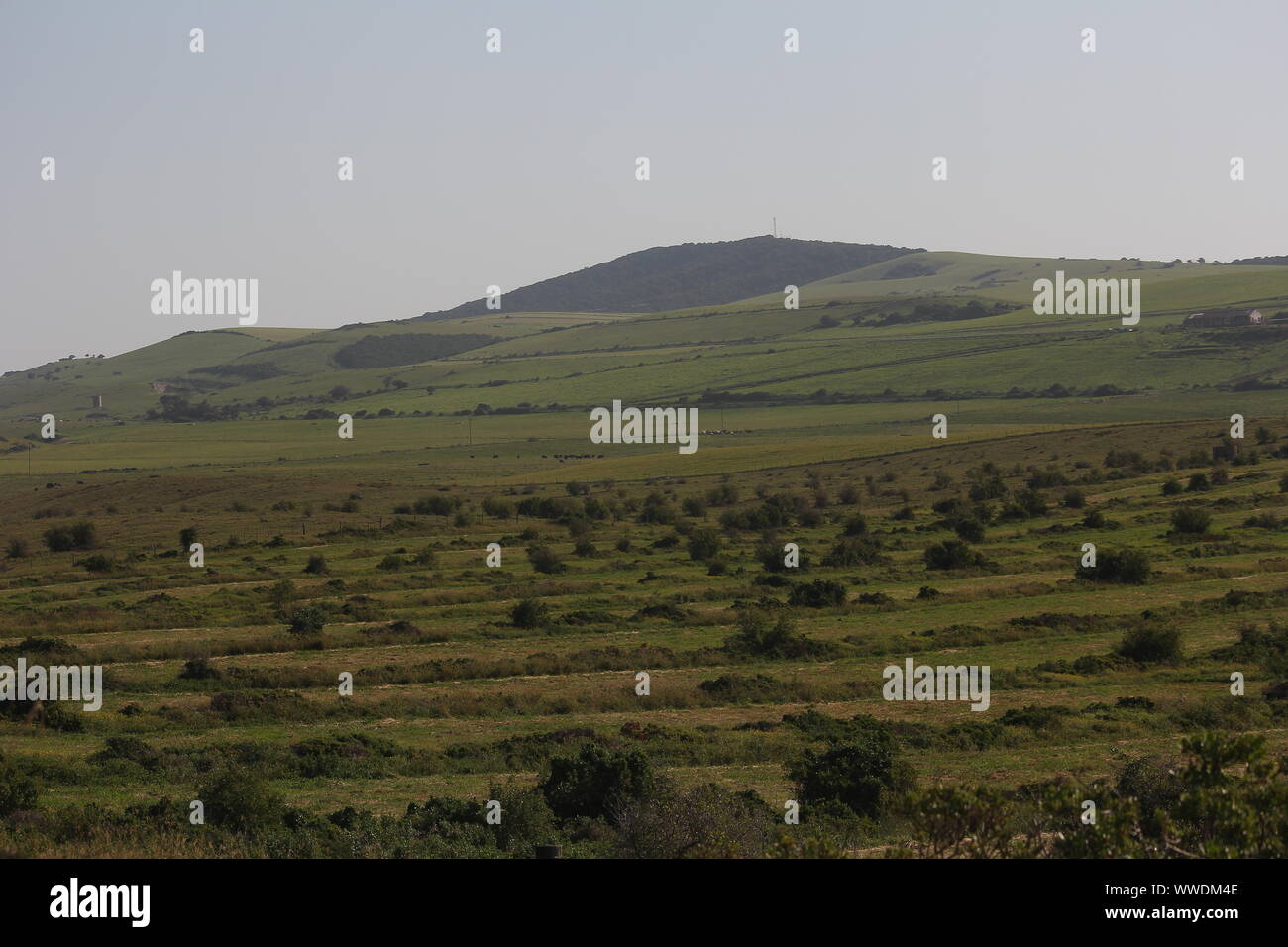 La fenaison au Boknes herbage, Eastern Cape, Afrique du Sud Banque D'Images