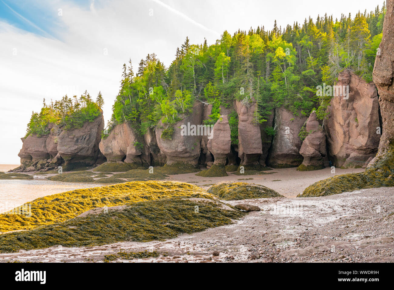 Formations Pot de fleurs le long de la baie de Fundy au parc des rochers Hopewell Rocks, au Nouveau-Brunswick, Canada Banque D'Images