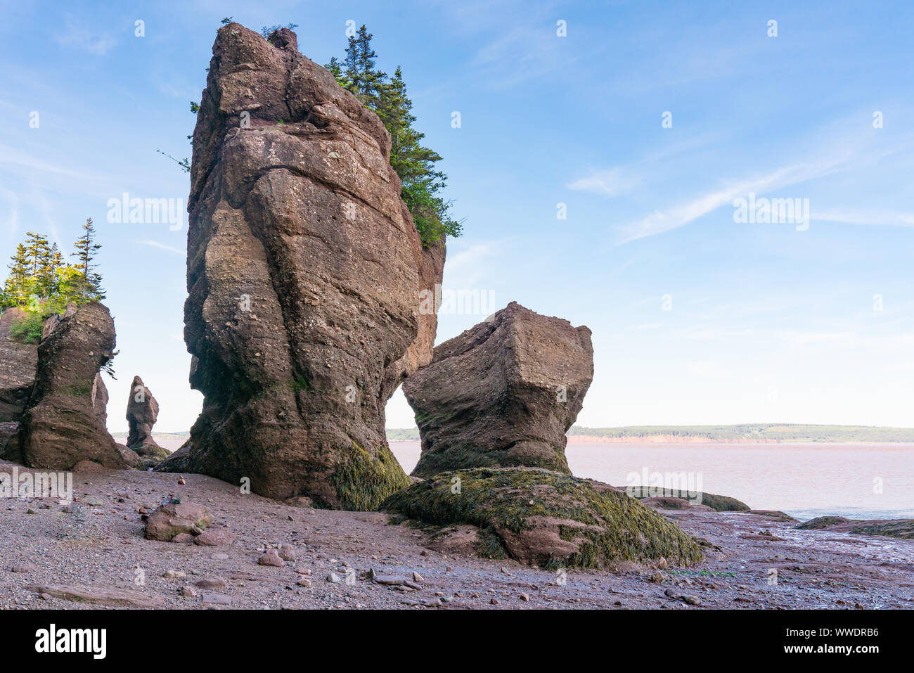 Formations Pot de fleurs le long de la baie de Fundy au parc des rochers Hopewell Rocks, au Nouveau-Brunswick, Canada Banque D'Images