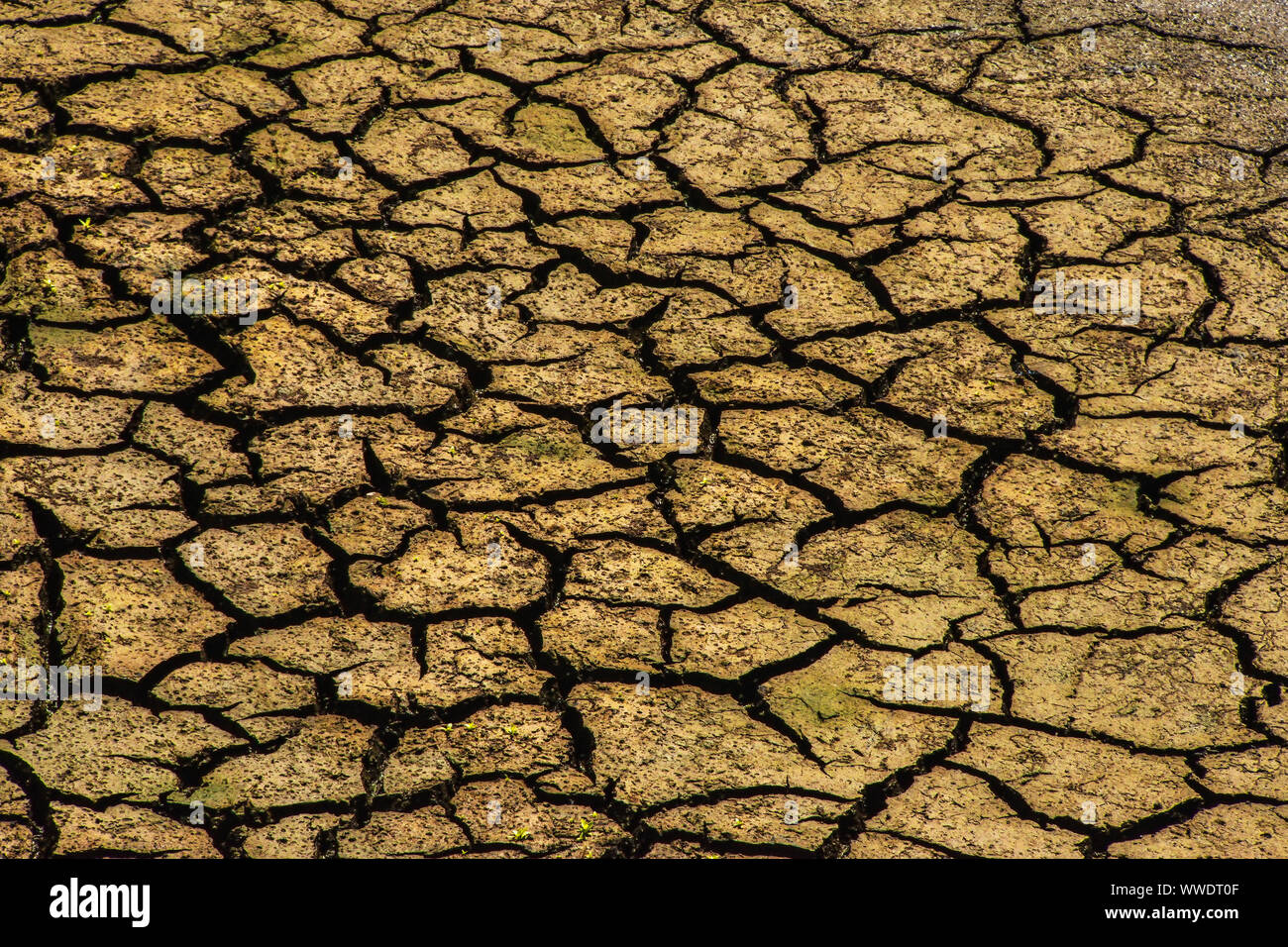 Les terres sèches Banque D'Images