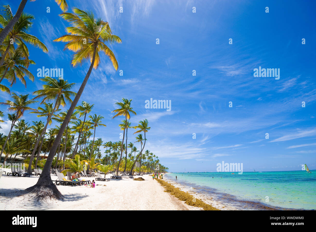 Plage tropicale en mer des Sargasses, Punta Cana, République Dominicaine Banque D'Images