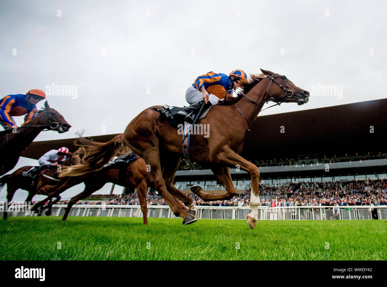 Curragh, Curragh, USA. 15 Sep, 2019. 15 septembre 2019 : Amour # 4, monté par Ryan Moore, gagne le Moyglare Stud Stakes pendant deux jours de semaine des Champions de l'Irlandais au Curragh Curragh, en Irlande. Scott Serio/Eclipse Sportswire/CSM/Alamy Live News Banque D'Images