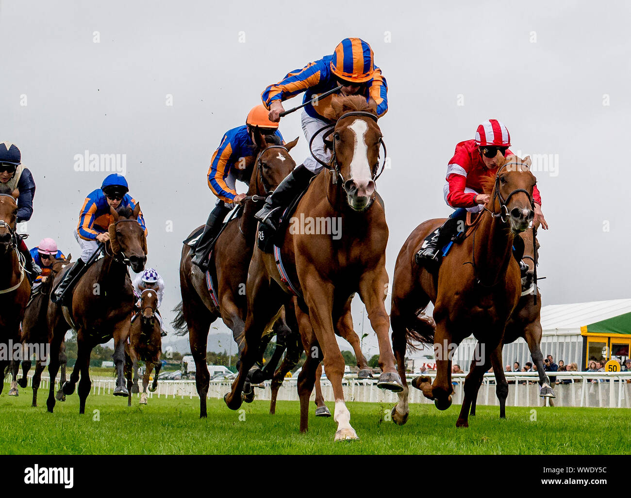 Curragh, Curragh, USA. 15 Sep, 2019. 15 septembre 2019 : Amour # 4, monté par Ryan Moore, gagne le Moyglare Stud Stakes pendant deux jours de semaine des Champions de l'Irlandais au Curragh Curragh, en Irlande. Scott Serio/Eclipse Sportswire/CSM/Alamy Live News Banque D'Images