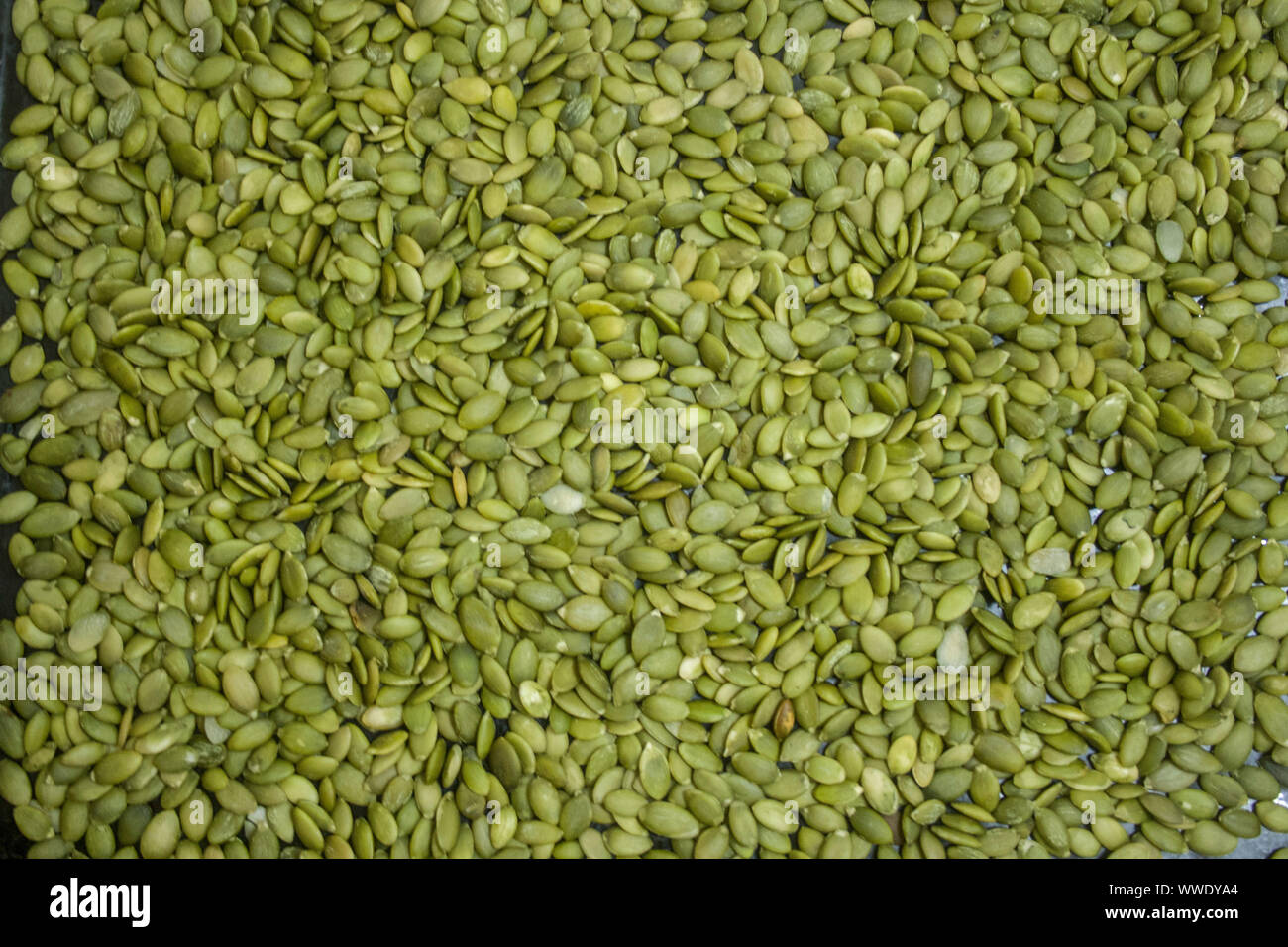 Macro fond texture de graines de citrouille crues vert Banque D'Images