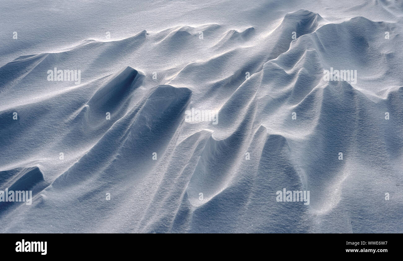 Tempête de neige d'hiver des régularités d'une saison de gel tundra avec personne dans l'image Banque D'Images