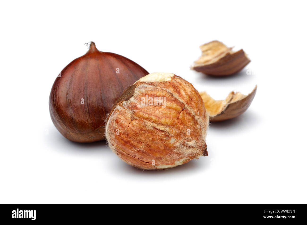 Les châtaignes isolated on white background, studio shot Banque D'Images