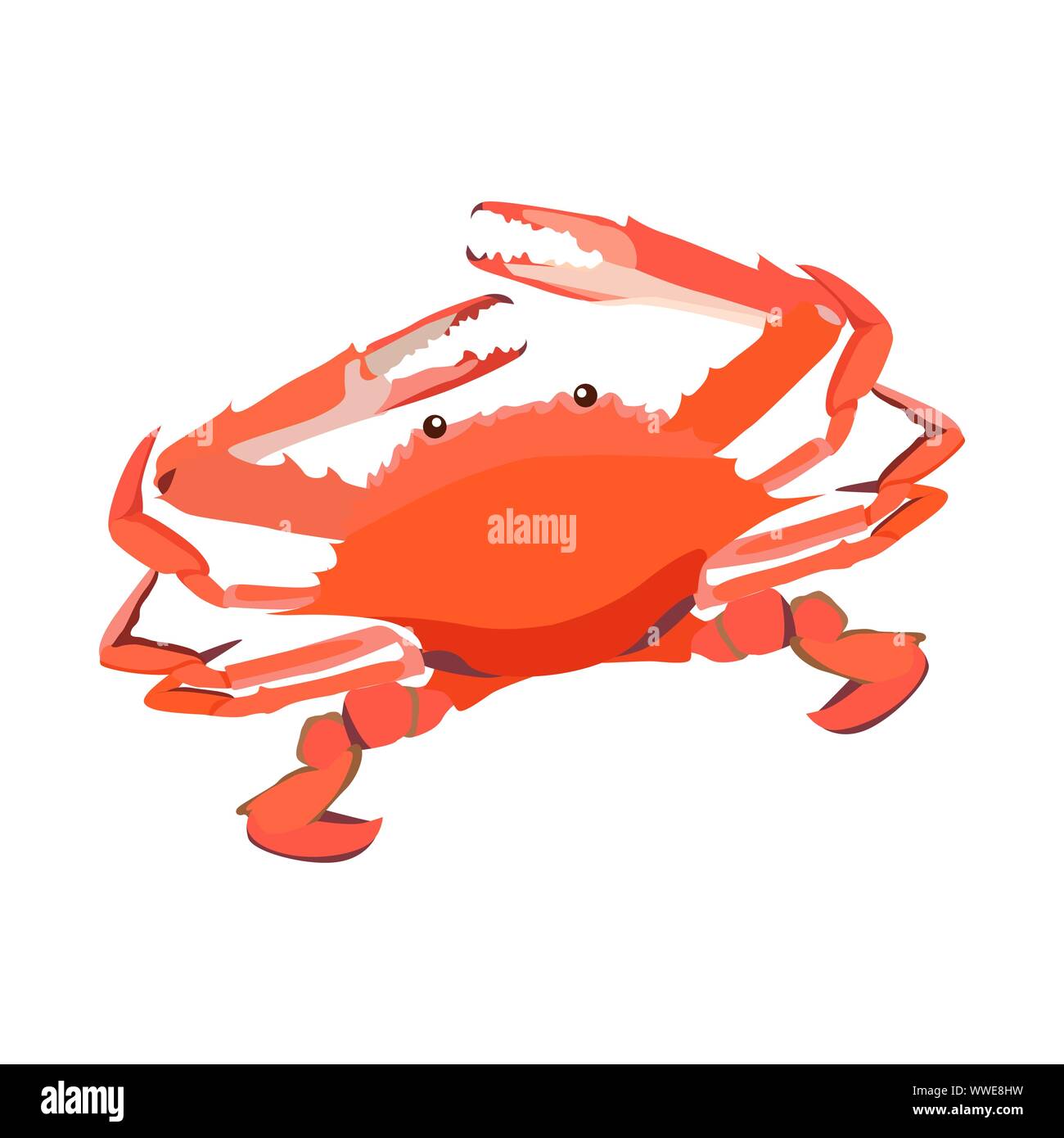 L'icône de crabe cuit rouge isolé sur fond blanc, fruits de mer frais, une cuisine savoureuse, saine illustration vectorielle. Illustration de Vecteur