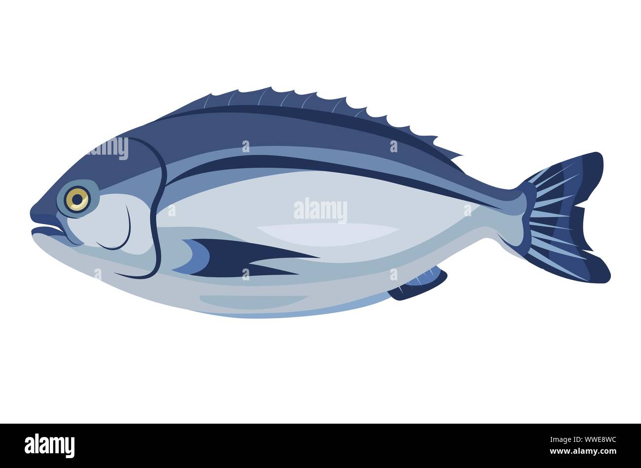 Dorado icône poisson isolé sur fond blanc, produit frais et sain, une cuisine méditerranéenne, vector illustration. Illustration de Vecteur Dorado icône poisson isolé sur fond blanc, produit frais et sain, une cuisine méditerranéenne, vector illustration. Illustration de Vecteur