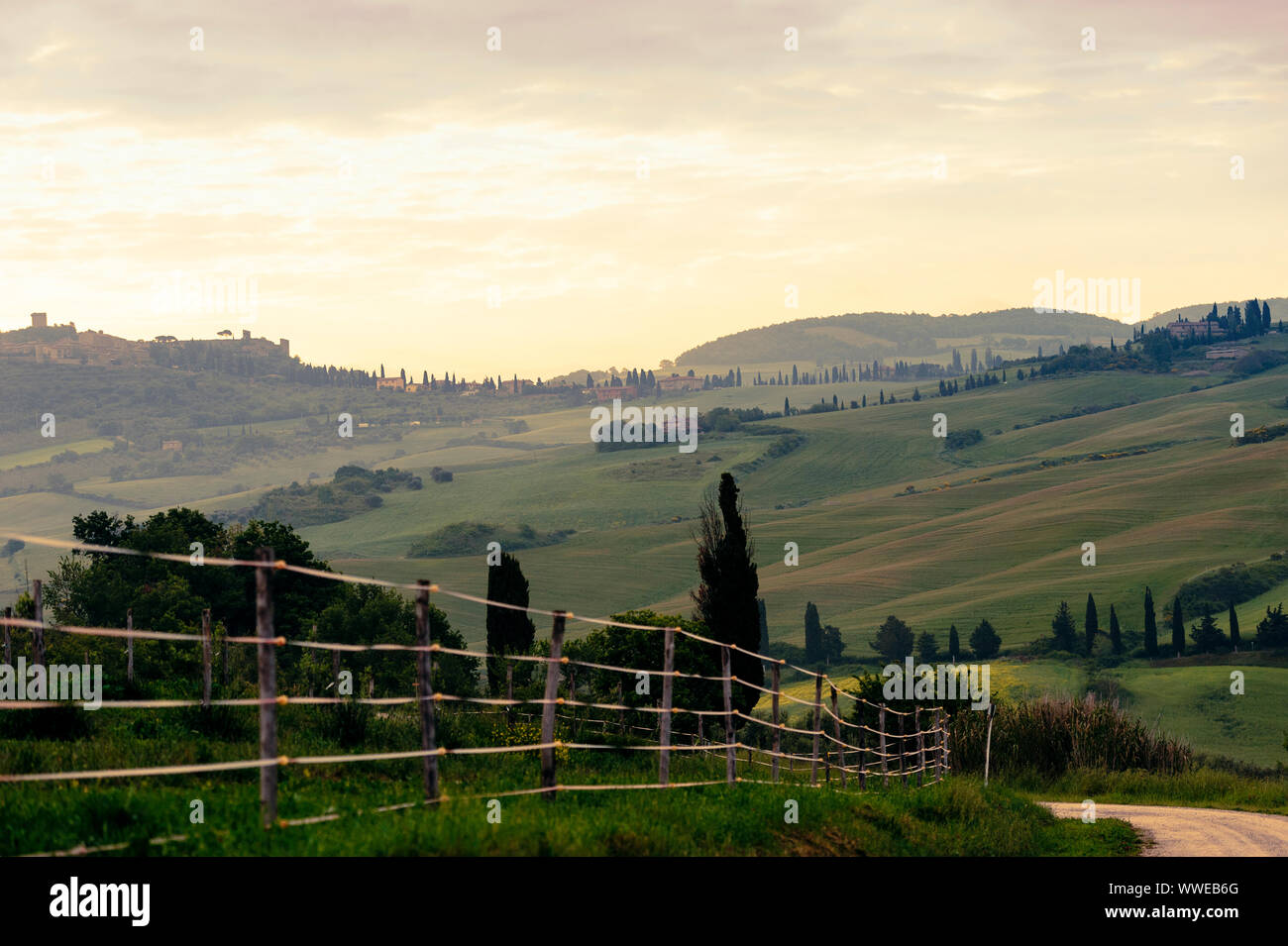 Paysage typique de la Toscane, Val Dorcia à l'aube, Italie Banque D'Images