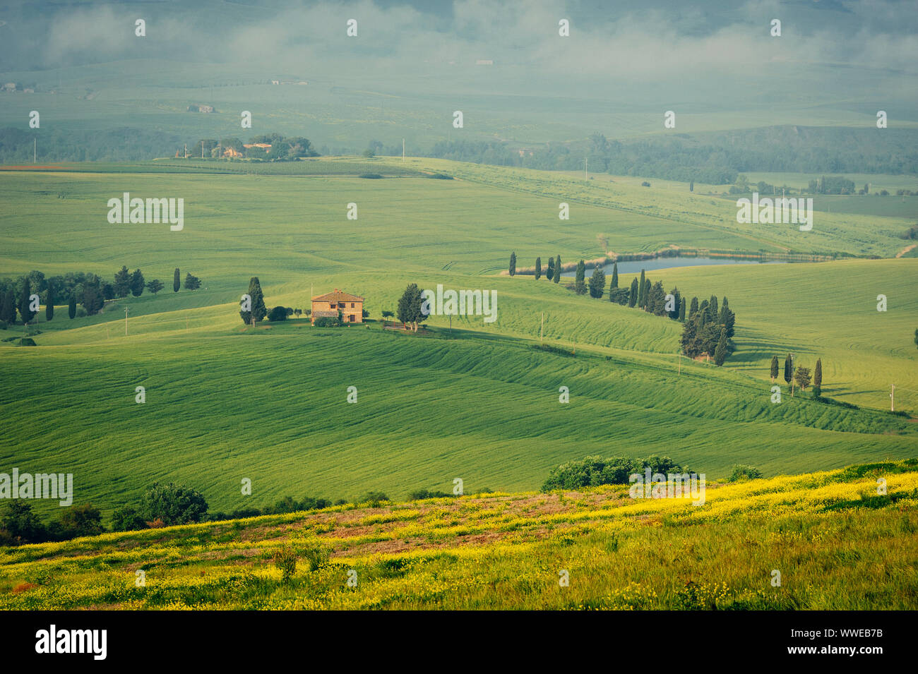 Paysage typique de la Toscane, Val Dorcia à l'aube, Italie Banque D'Images