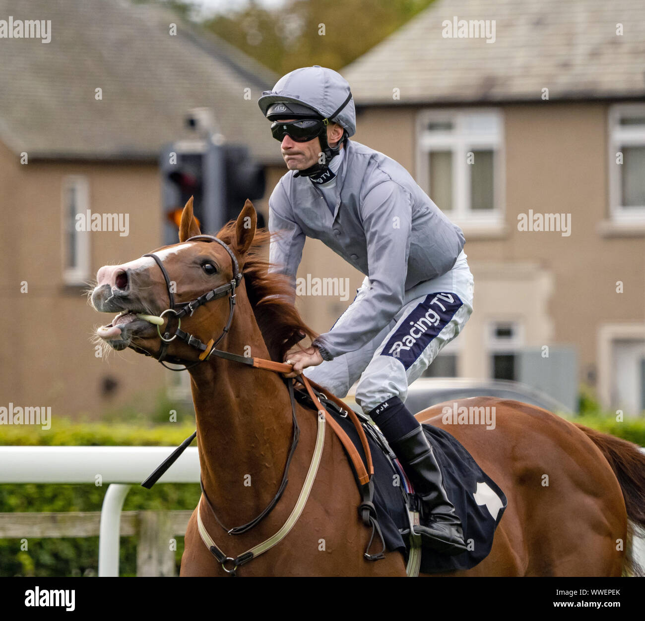 Paul Mulrennan Jockey sur Band pratique, vainqueur de l'EBF Pouliches' Enjeux Conditions (Plus 10 Race) à Musselburgh - 14 septembre 2019. Banque D'Images