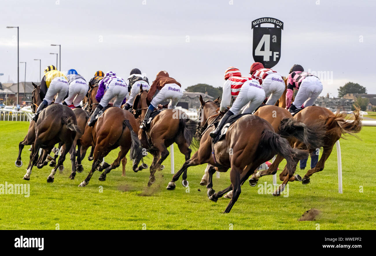 Chevaux et jockeys pendant une course à Musselburgh Racecourse, East, Lothian, Scotland, UK. Banque D'Images