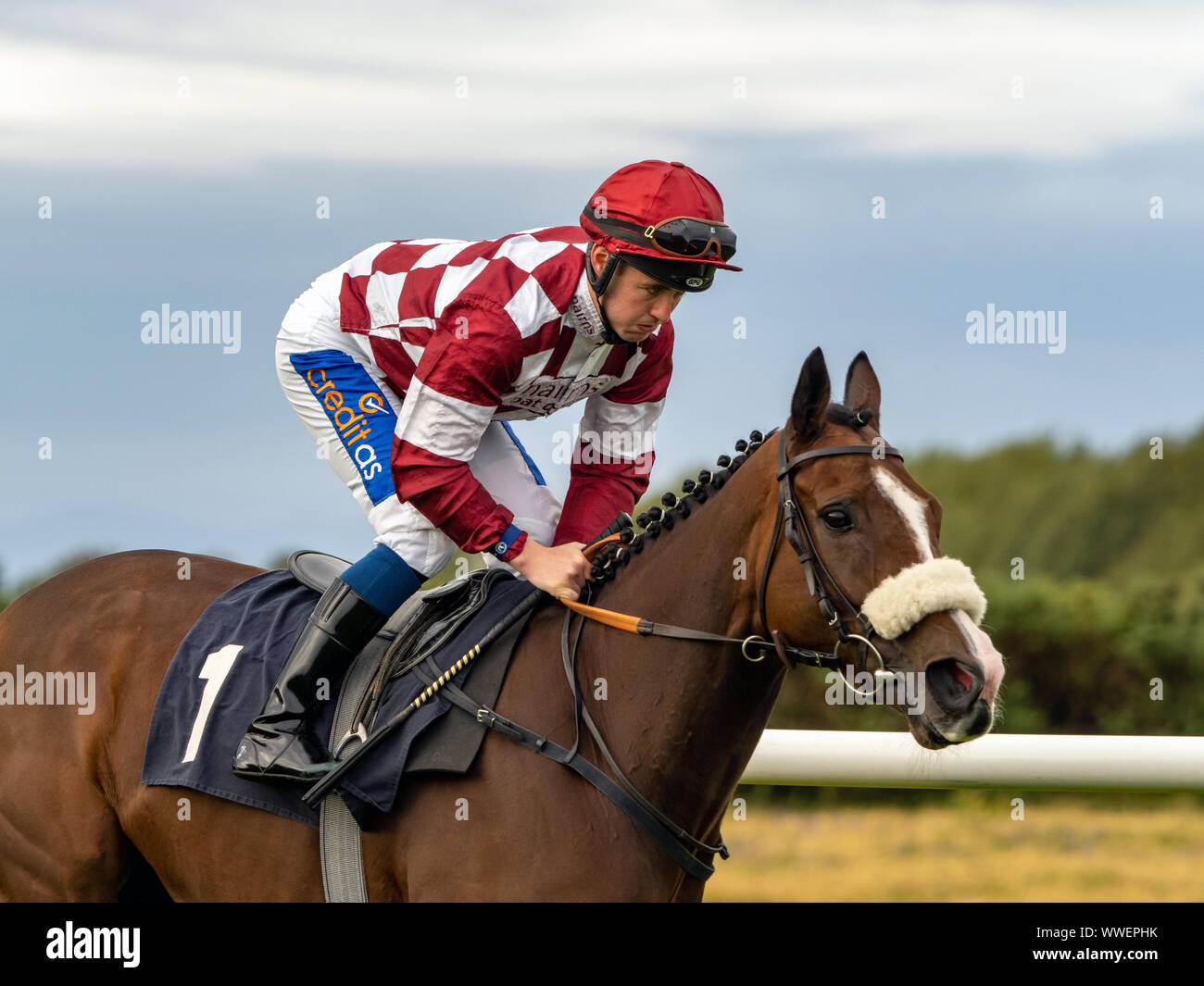 Jockey Shane Gray indéfiniment une dame avant le début de l'Handicap Santé JMC (Div I) à Musselburgh - 14 septembre 2019. Banque D'Images