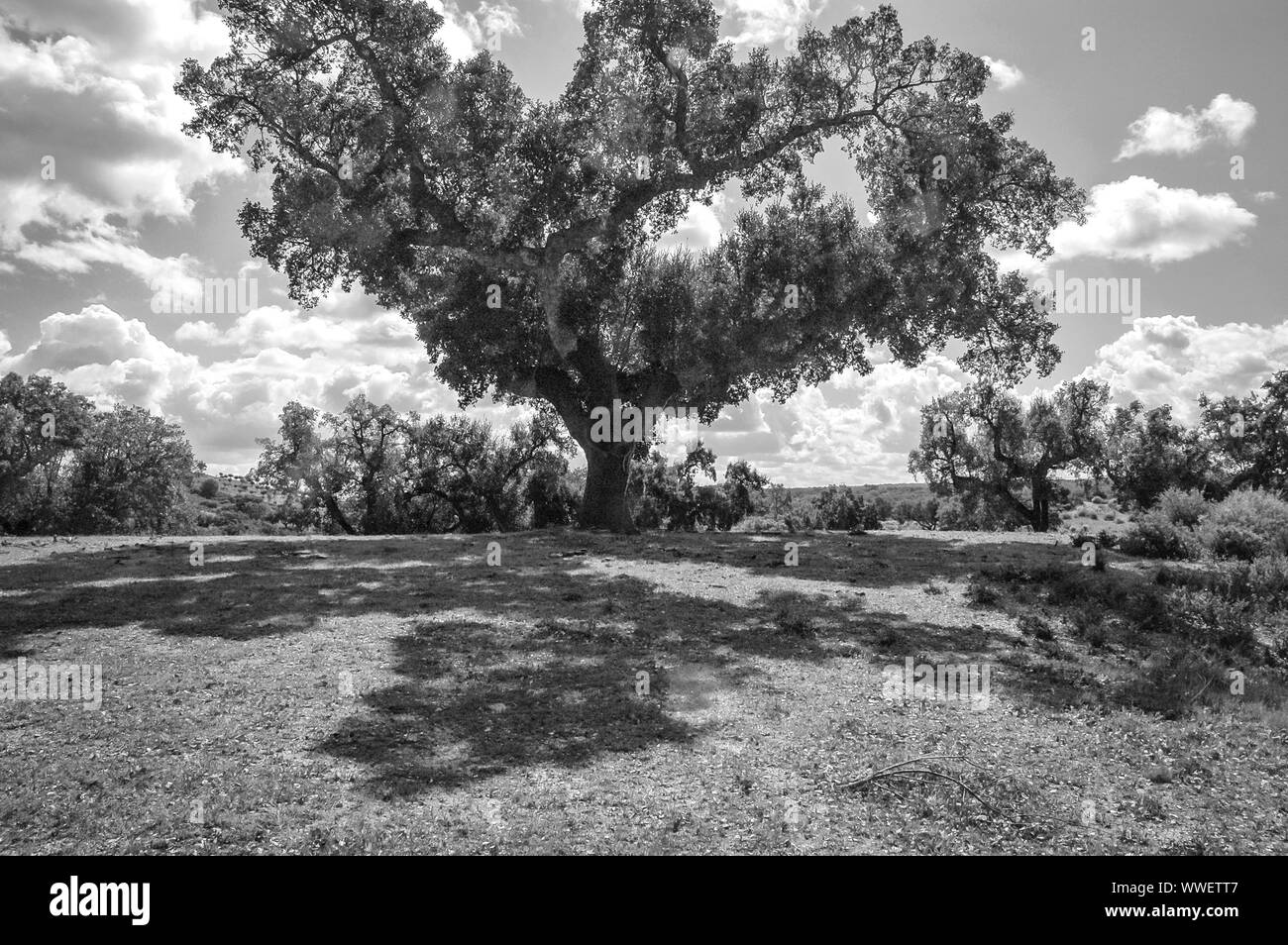 Ombres et lumières Banque D'Images