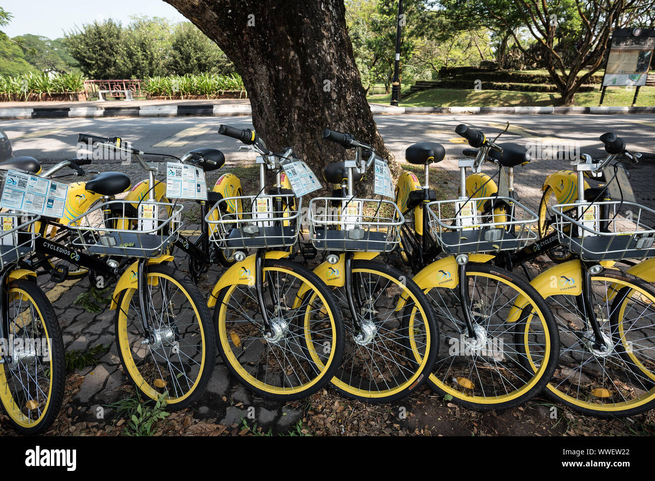 Taiping, Malaisie - 22 Jun, 2018 : service de partage de vélos de location à à basse vitesse à travers le lac Taiping Taiping, le jardin, la Malaisie - un trajet occasionnel Banque D'Images