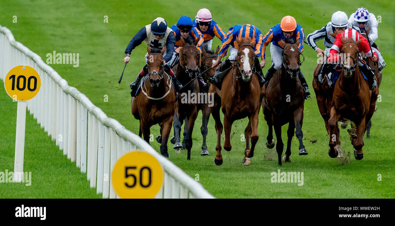 Curragh, Curragh, USA. 15 Sep, 2019. 15 septembre 2019 : Le domaine, dirigé par l'Amour vainqueur, à la tête de la ligne droite principale dans le Moyglare Stud Stakes pendant deux jours de semaine des Champions de l'Irlandais au Curragh Curragh, en Irlande. Scott Serio/Eclipse Sportswire/CSM/Alamy Live News Banque D'Images