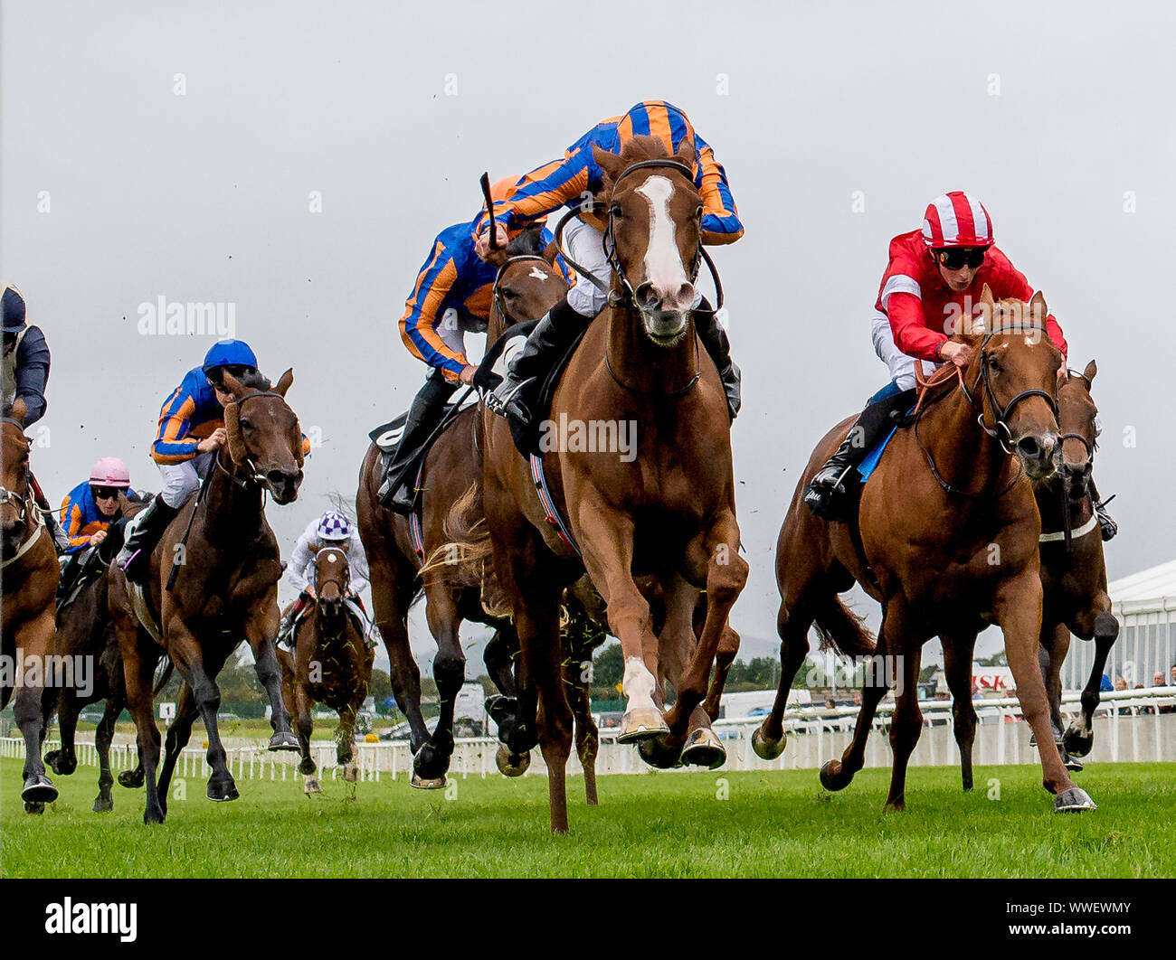Curragh, Curragh, USA. 15 Sep, 2019. 15 septembre 2019 : Amour # 4, monté par Ryan Moore, gagne le Moyglare Stud Stakes pendant deux jours de semaine des Champions de l'Irlandais au Curragh Curragh, en Irlande. Scott Serio/Eclipse Sportswire/CSM/Alamy Live News Banque D'Images