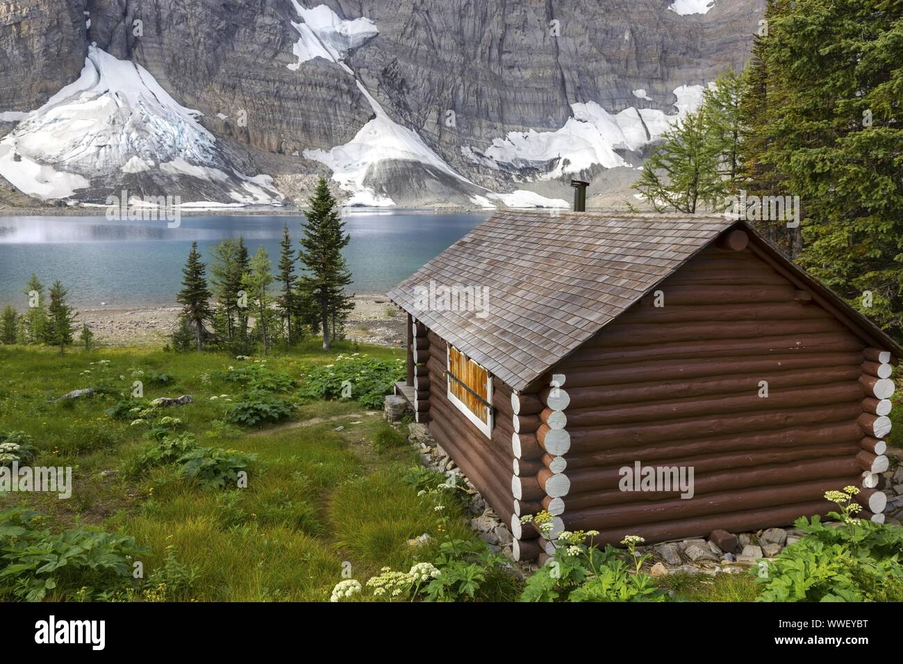 Heritage Landmark Rustic Wooden Log Cabin extérieur. Green Alpine Meadow Floe Lake Rockwall Hiking Trail Parc national Kootenay Rocheuses canadiennes Banque D'Images