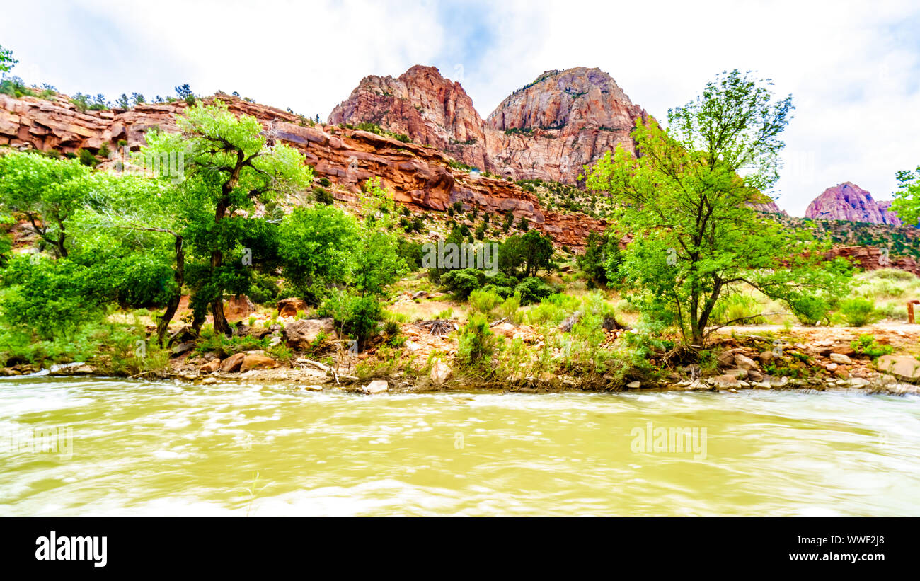 Rouge, rose et massive des falaises de grès Crème vu de la Pa'rus Trail comme il suit le long et au-dessus de la rivière vierge dans le Parc National Zion dans UT, USA Banque D'Images
