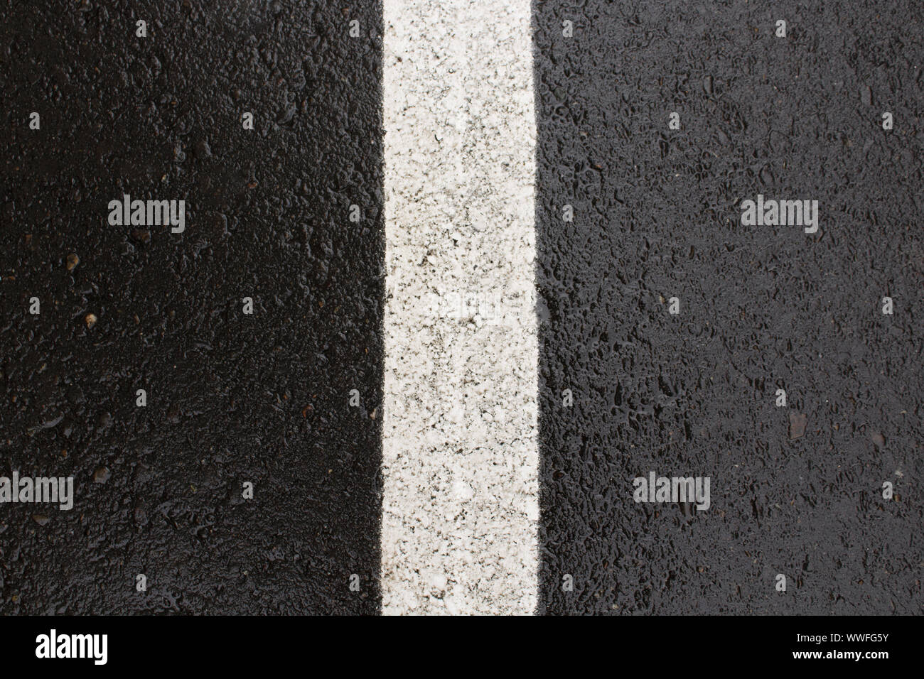 Fond d'asphalte humide. La signalisation horizontale. Fond d'asphalte et la texture. Banque D'Images