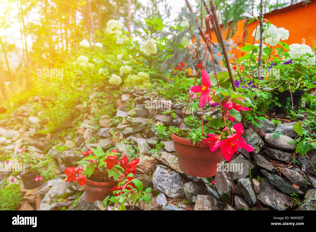 Jardin extérieur avec des pots de fleurs rouges sur un banc en bois ...