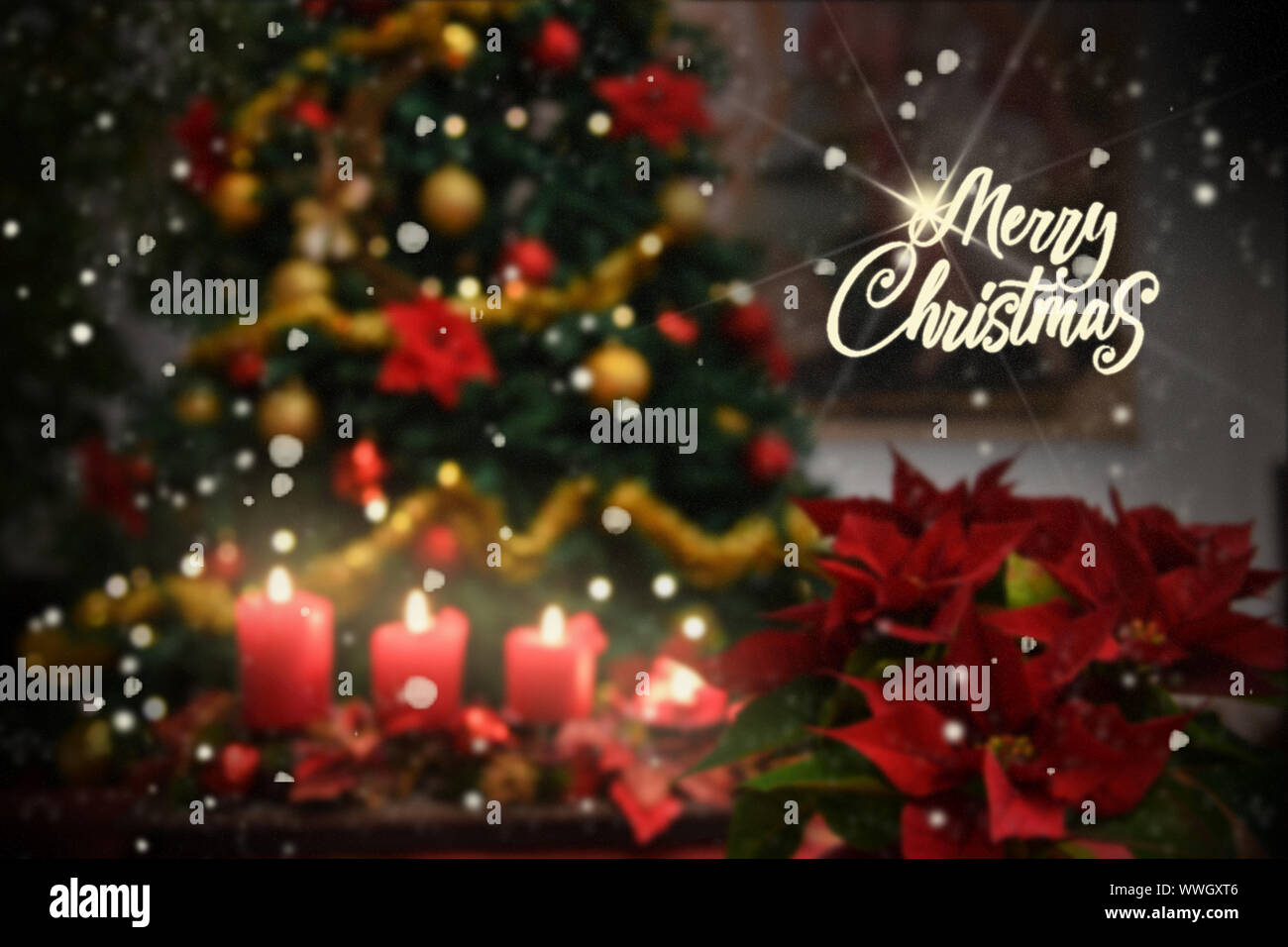Fleurs de Noël,bougies,Joyeux Noël Poinsettia texte ,lumineux,la neige fond arbre Banque D'Images