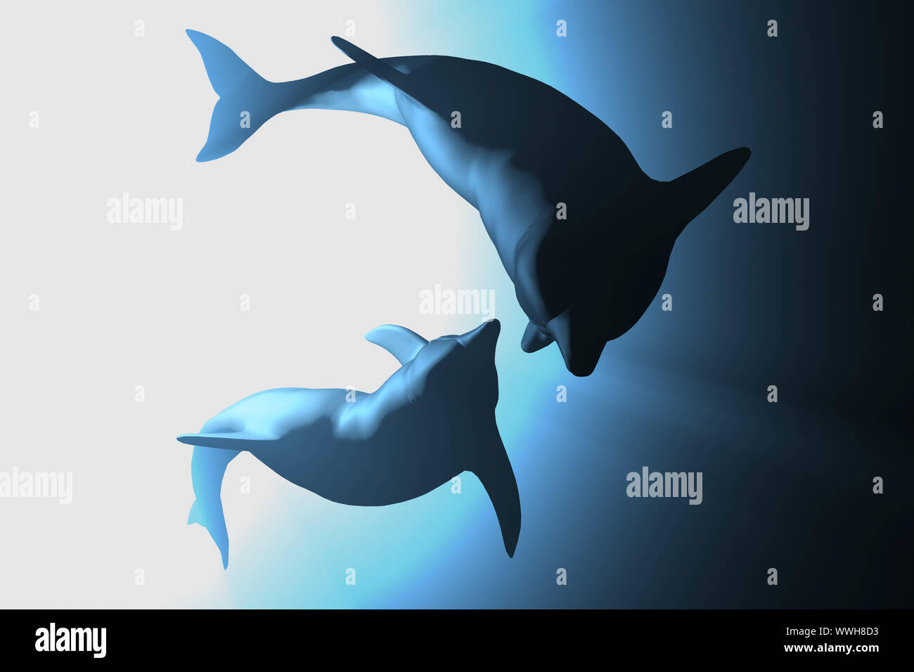 dauphins Banque D'Images