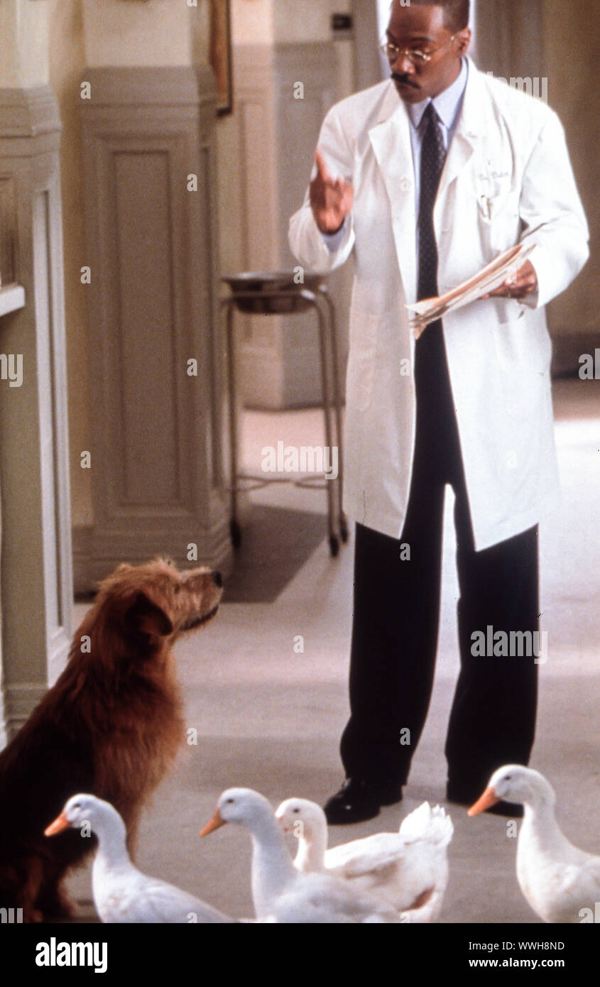 Eddie Murphy, dr dolittle 2, 1998. Banque D'Images