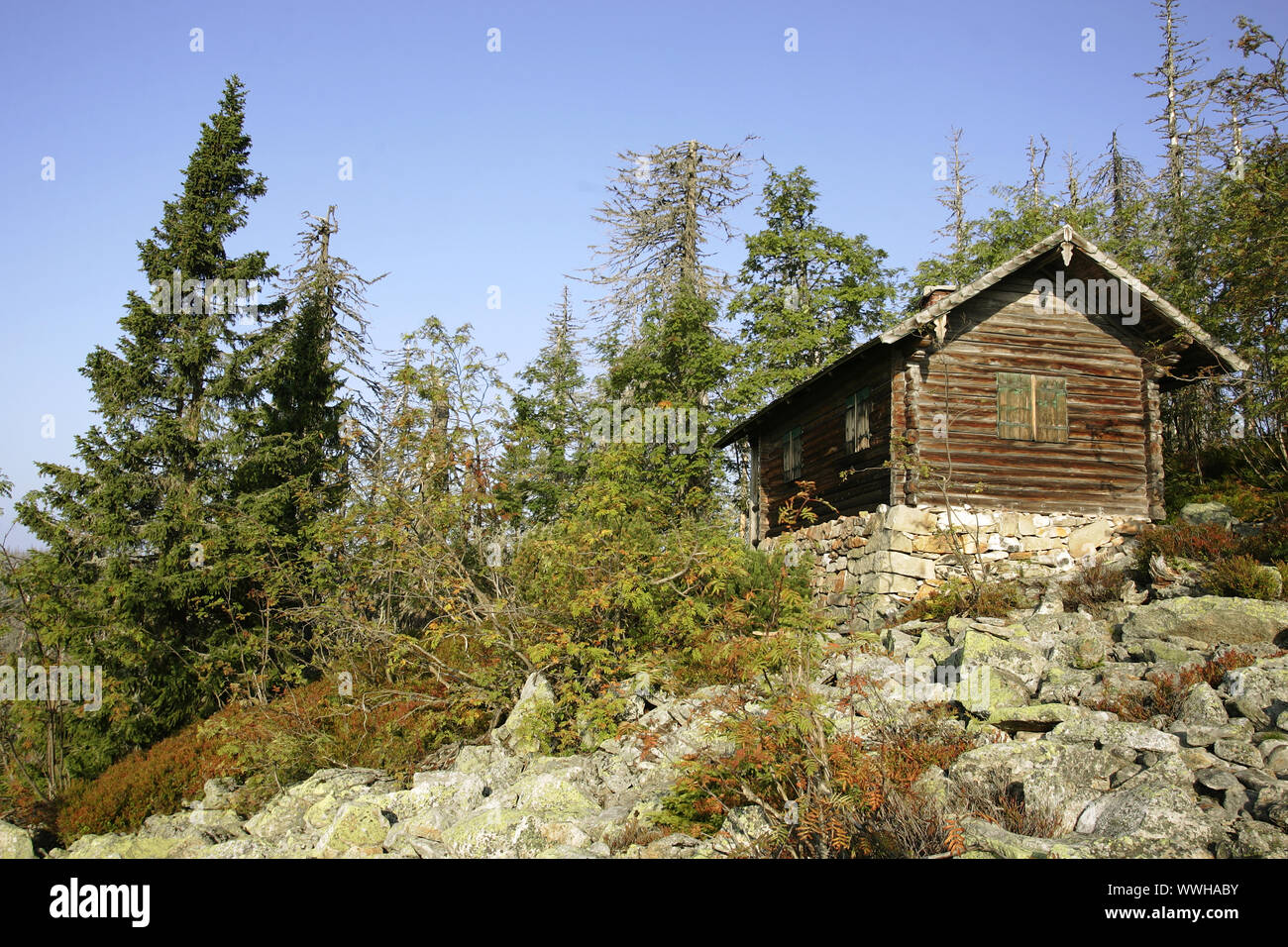 Parc National de la forêt bavaroise, la forêt de Bavière, Allemagne, Allemagne NP, Forsthaus, Forsthuette Banque D'Images