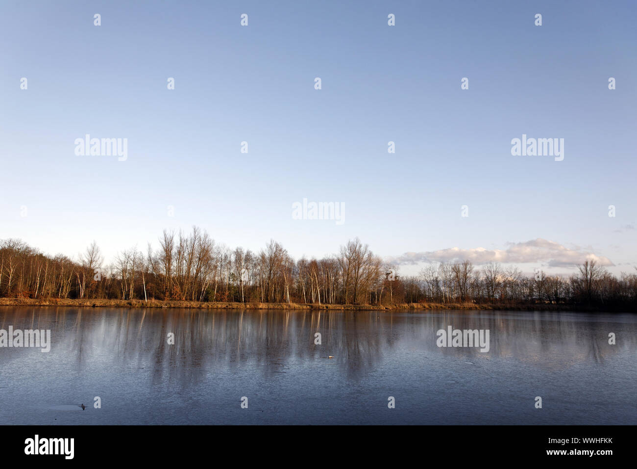 Une journée d'hiver à l'étang de pêche Banque D'Images