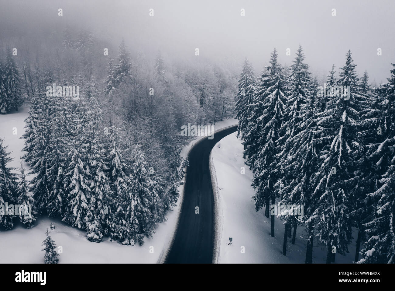 Route d'hiver de mystérieux dans la forêt. La vue aérienne d'une route de montagne sinueuse à Cheia, Roumanie Banque D'Images