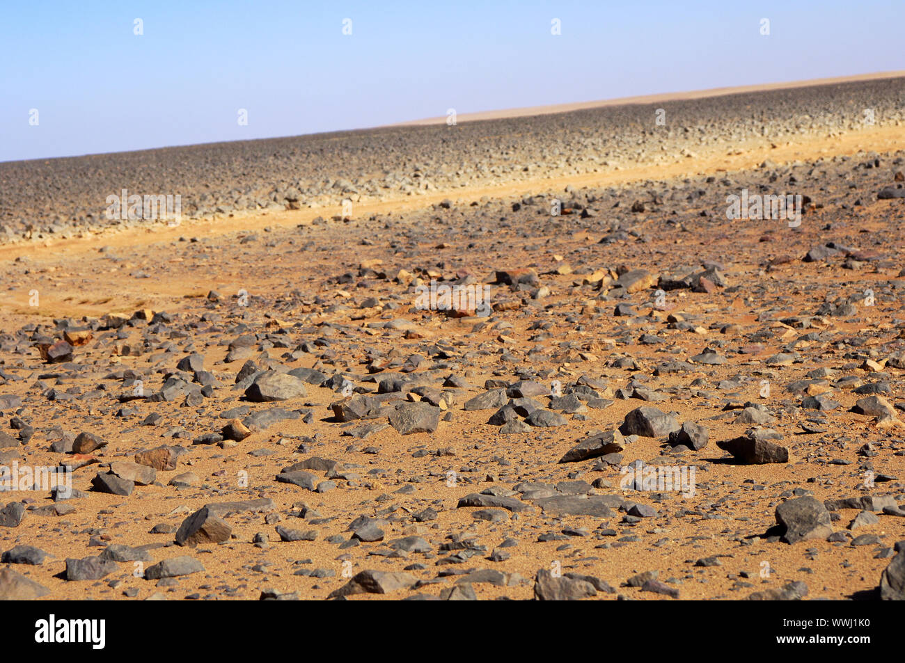 Hammada paysage désertique, la Libye Banque D'Images