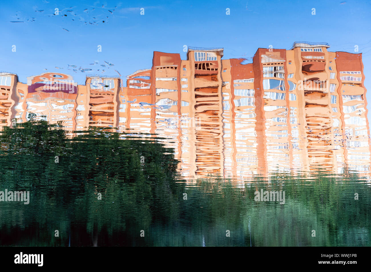 Building reflet dans l'eau. Paysage de ville Banque D'Images