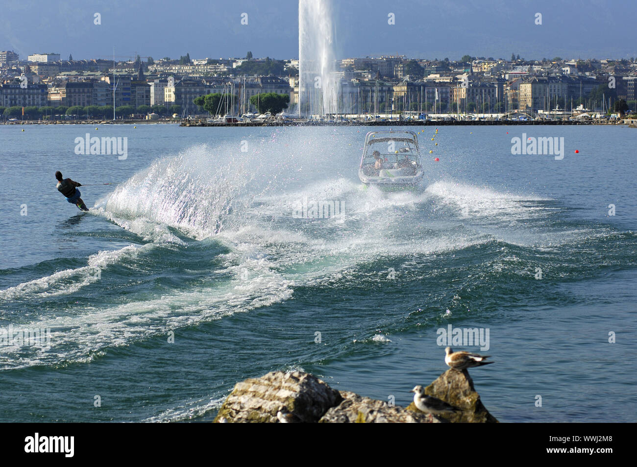 Le ski nautique sur le Lac Léman Banque D'Images