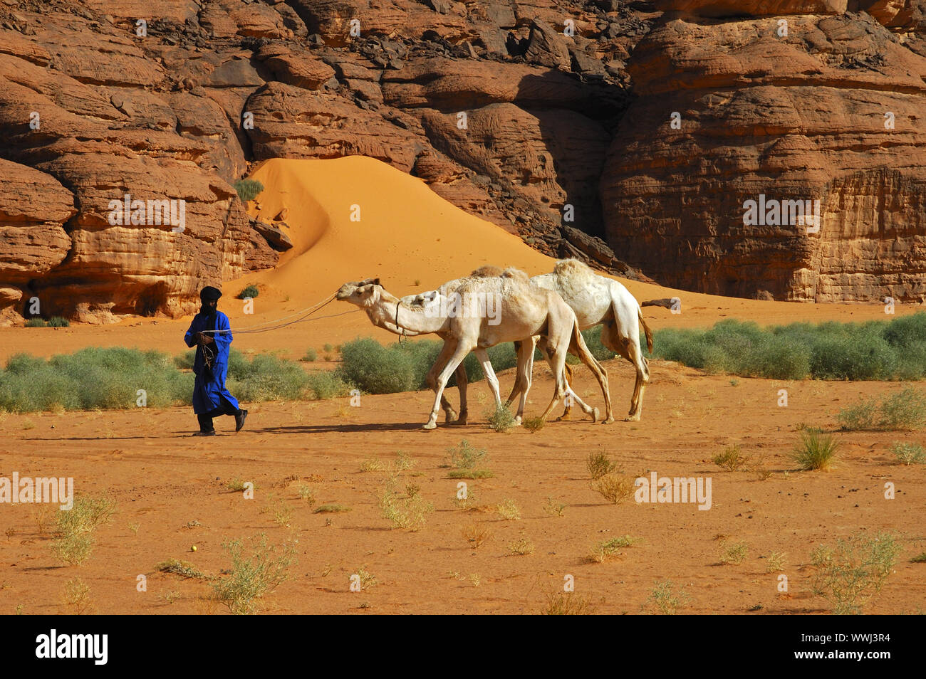 Équitation avec touareg dromadaire dans le désert Banque D'Images