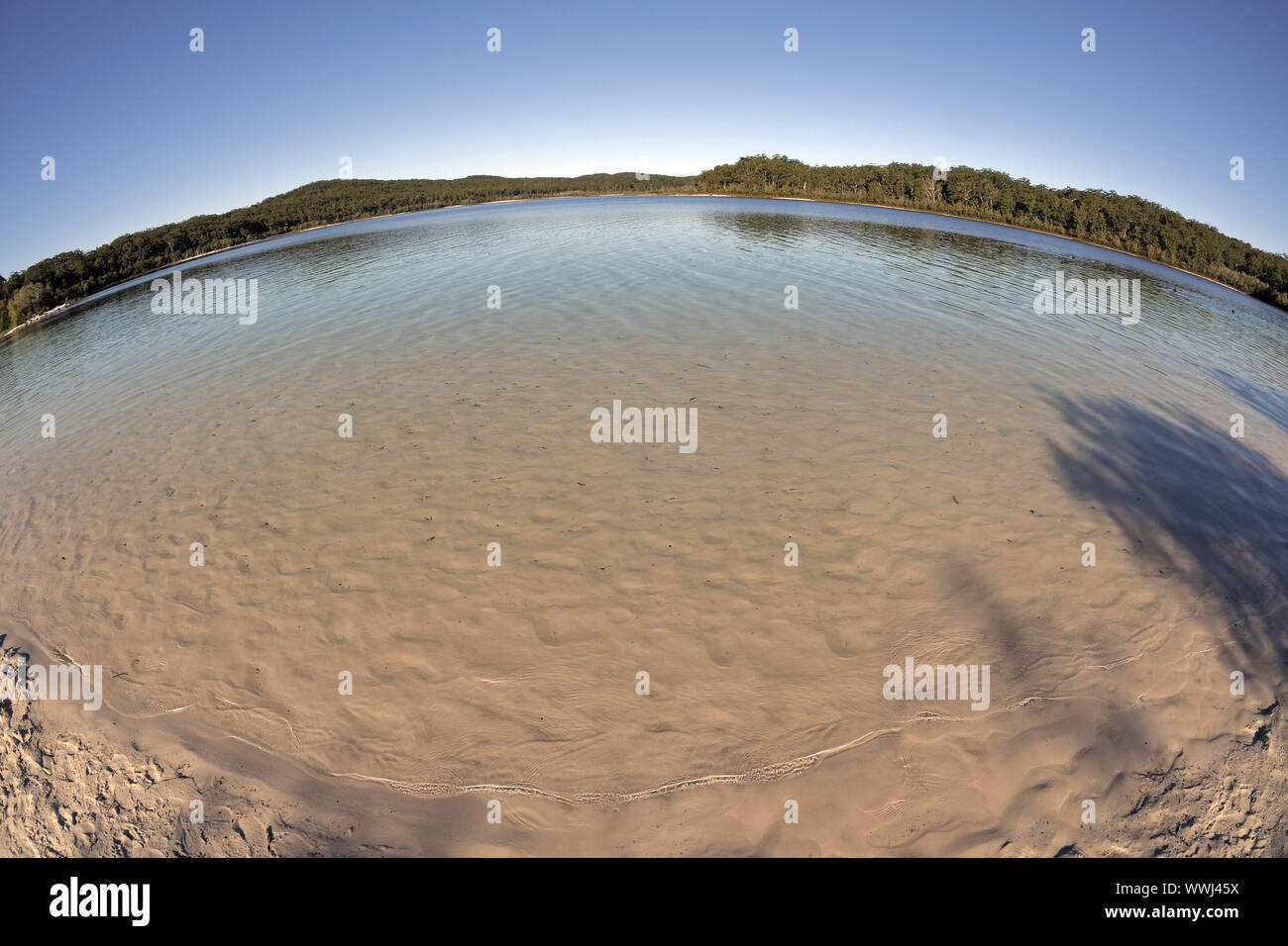 Lac McKenzie, Fraser Island, Queensland, Australie Banque D'Images