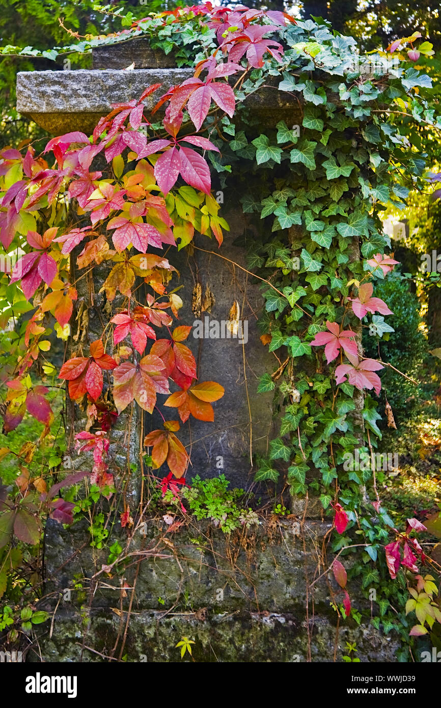 L'automne à la cimetière central de Vienne, Autriche, Euope Banque D'Images