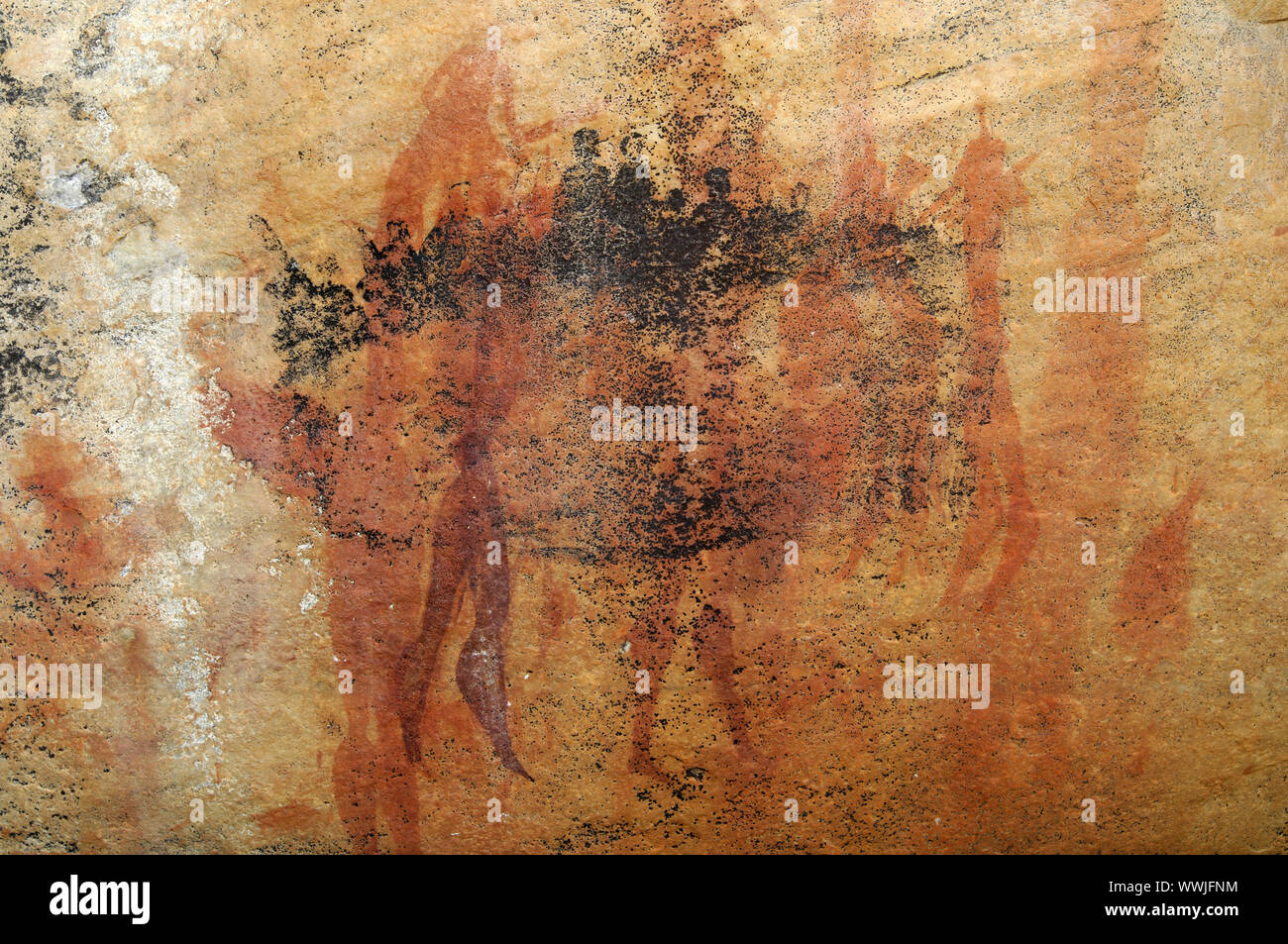 La représentation de personnes, San peinture rupestre, Afrique du Sud Banque D'Images