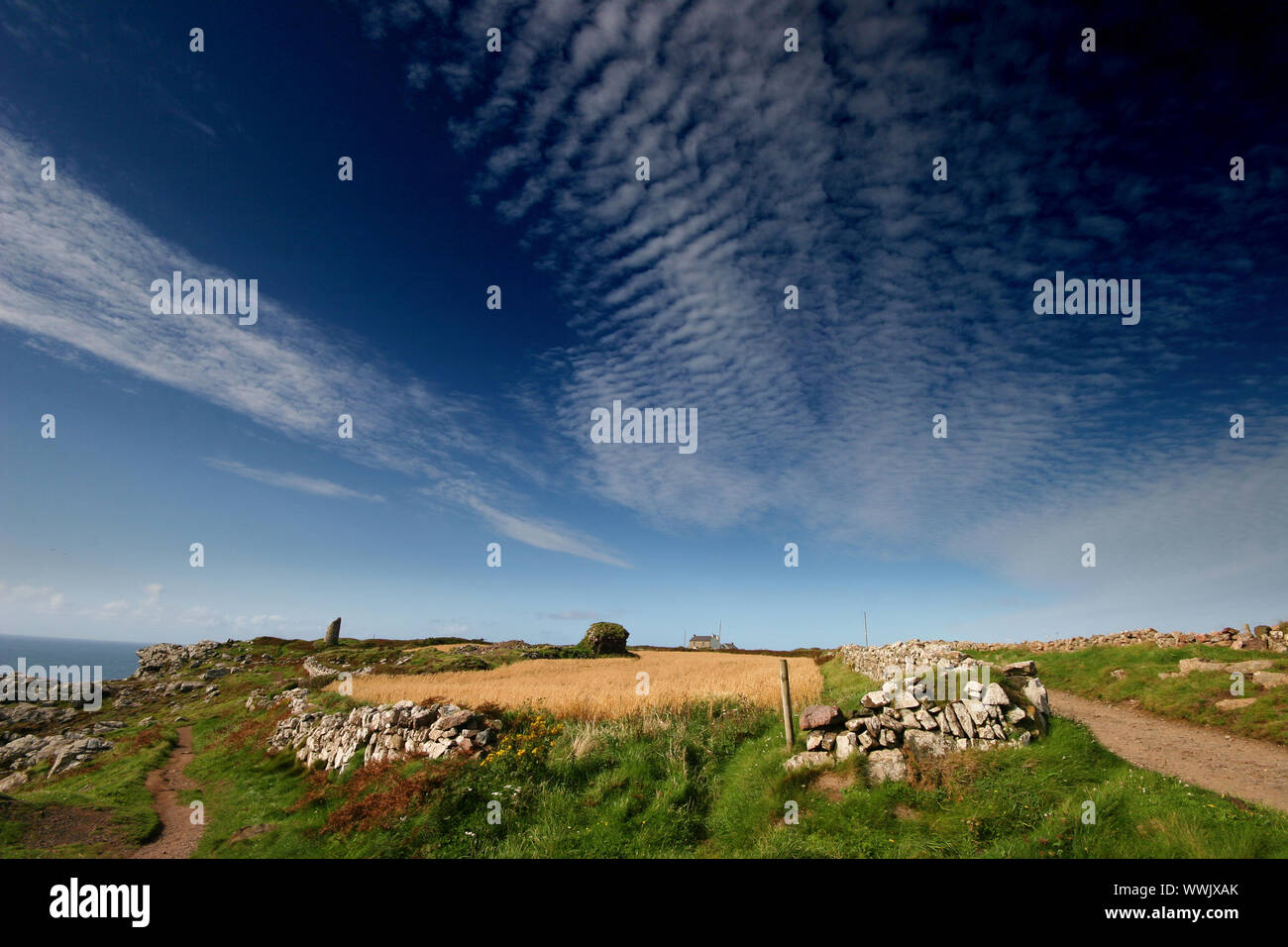 Une grande formation de maquereaux ciel remplit le ciel sur un domaine qui est situé juste au-dessus de la Couronne mines à Botallack à West Cornwall. Banque D'Images