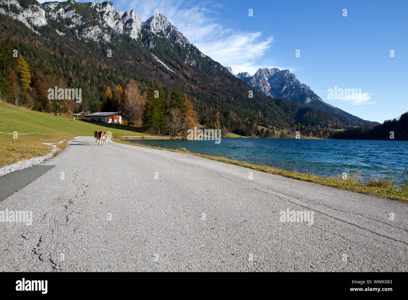 À l'automne Voir Hintersteiner, Tyrol, Autriche Banque D'Images