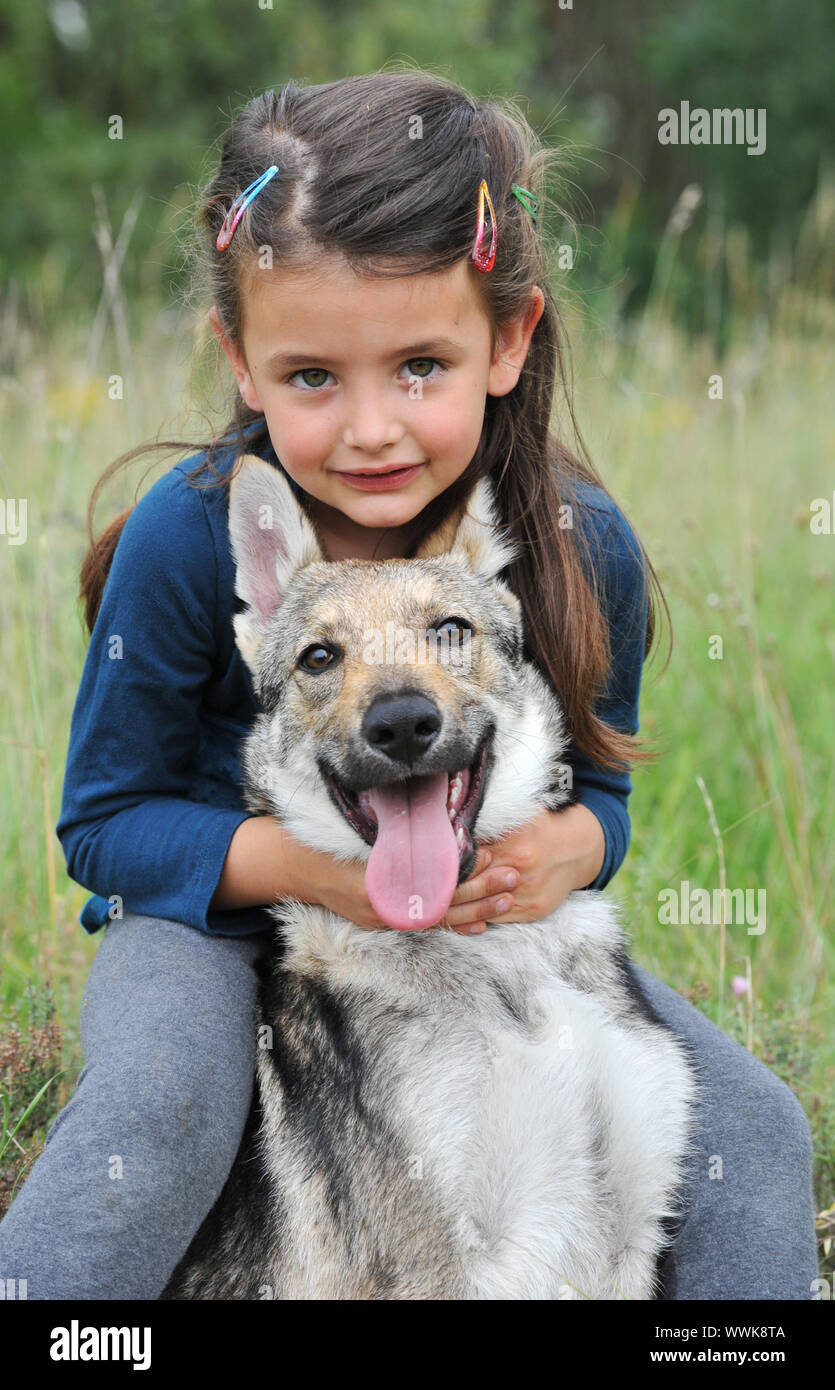 Petite Fille Et Son Bebe Chien Loup De Race Photo Stock Alamy Petite Fille Et Son Bebe Chien Loup De Race Photo Stock Alamy