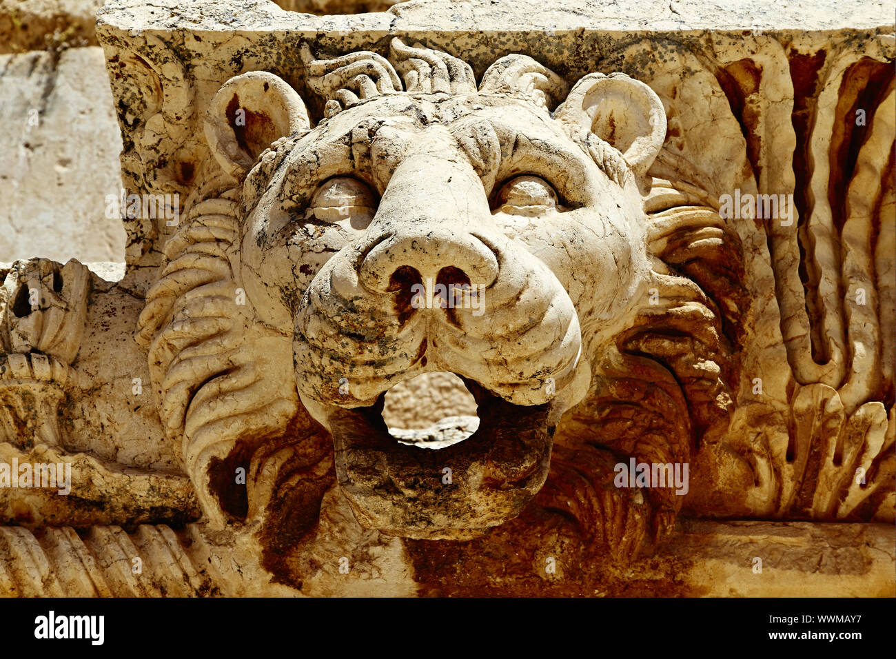 Baalbek Temple de Jupiter (lion) - Baalbek, Liban Banque D'Images