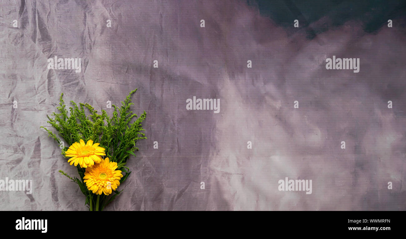 Gerbera Jaune fleurs Daisy sur grunge background. Copier l'espace. Banque D'Images