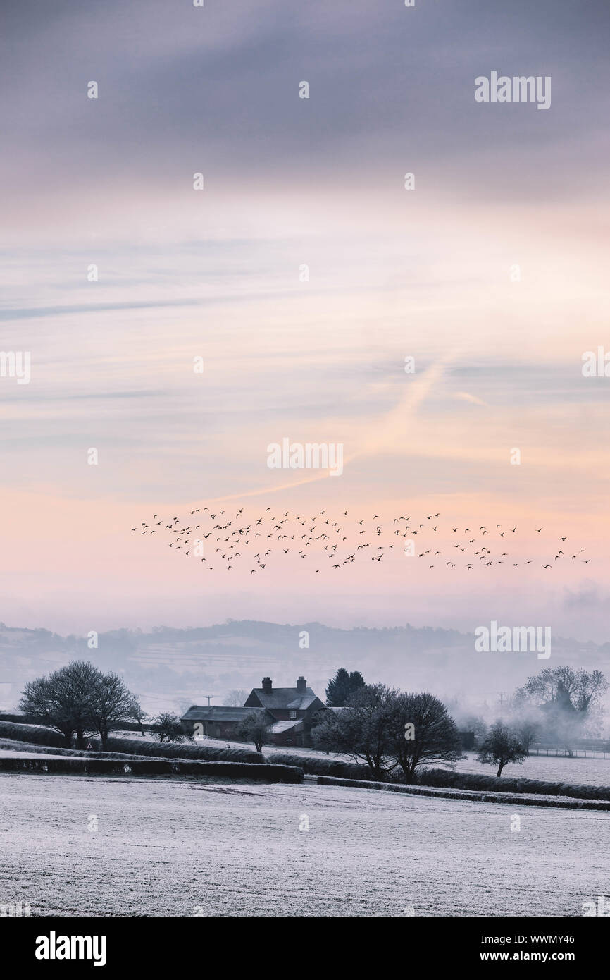 Paysage d'hiver enneigé de Shropshire Banque D'Images