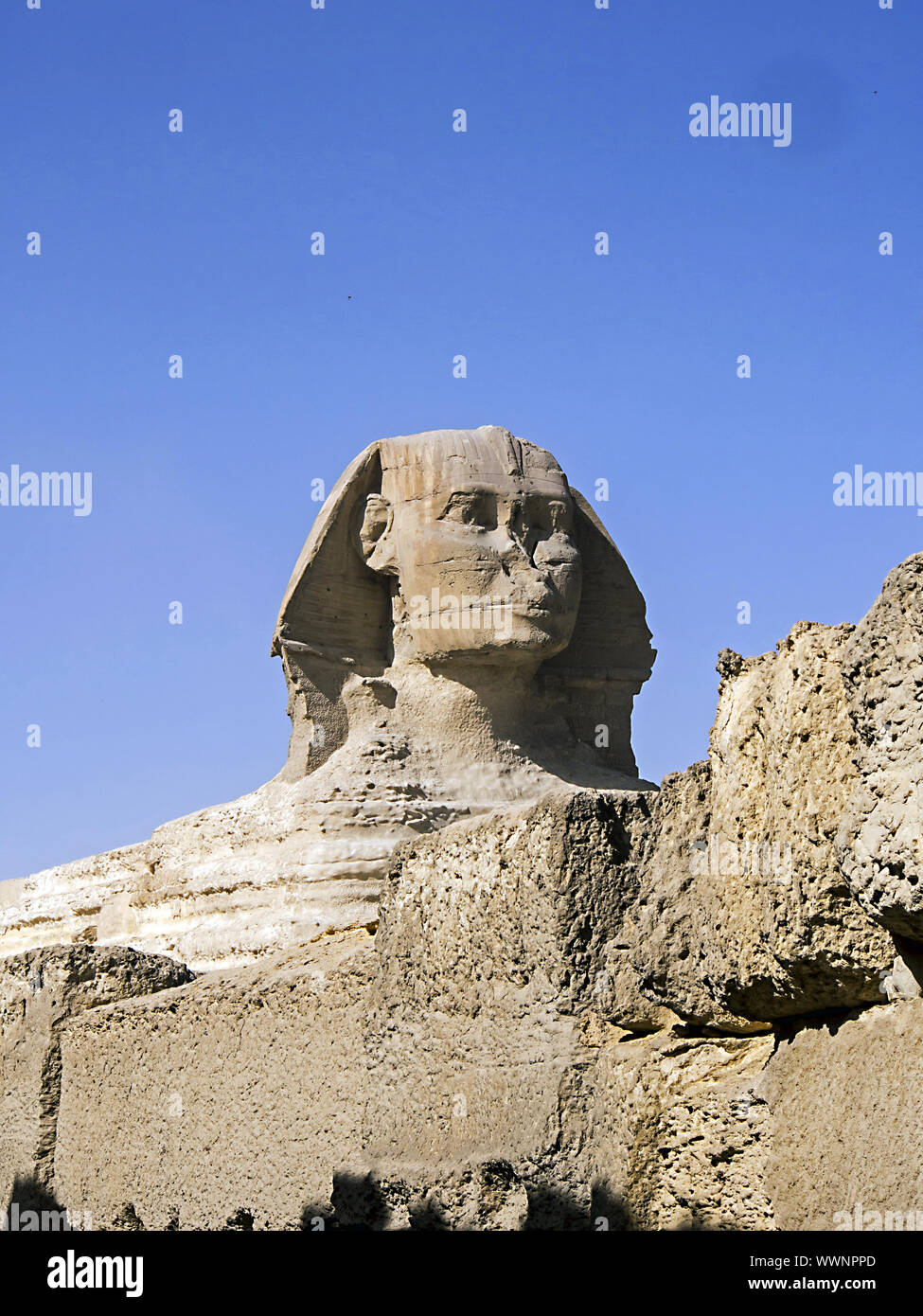 Grand Sphinx de Gizeh Banque D'Images