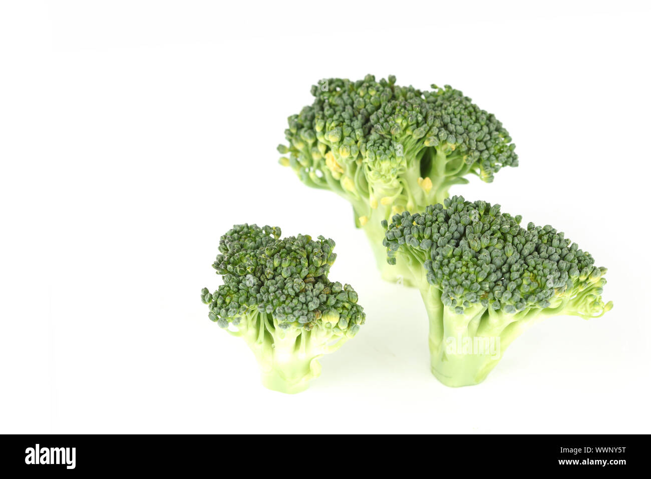 Le brocoli isolé sur fond blanc Banque D'Images